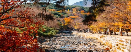 양산출장마사지